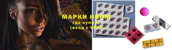 индика Каменка