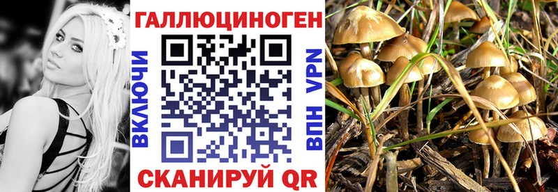 Галлюциногенные грибы GOLDEN TEACHER  kraken маркетплейс  Коряжма 