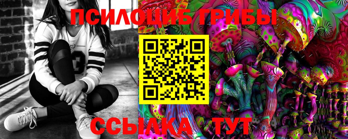 Псилоцибиновые грибы Psilocybine cubensis  Коряжма 