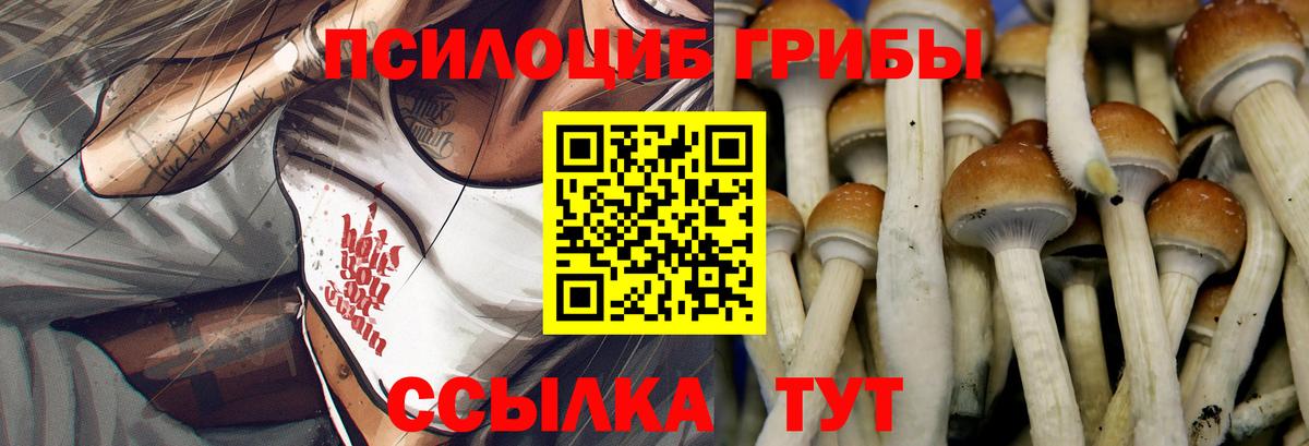 COCAIN  Экстази  Героин  Бошки Шишки  Купить наркотик  Вход с VPN  Коряжма  Гашиш  НБОМе  Мефедрон  МЕФ кристаллы 