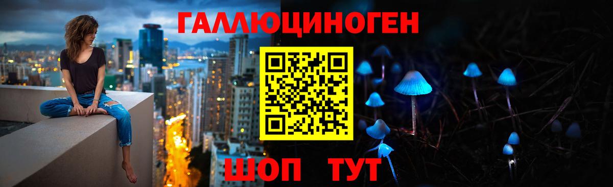 Коряжма  Галлюциногенные грибы ЛСД  Вход с VPN  Псилоцибиновые грибы Psilocybe 